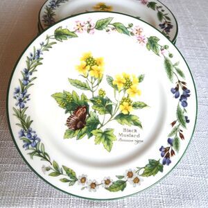 Bread & Butter Plates Set of 8 Worcester Herbs (Green Trim) by Royal Worcester